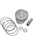 Piston Segman Takımı Honda PCX125 2010-2020 1