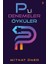 P’li Denemeler Öyküler 1