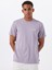 Arch Crew Ss EBYKT00100 Mor Bisiklet Yaka Regular Fit Düz Erkek T-Shirt 1