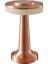 2 Adet 050-002-0001 Pronto 3cct Rose Gold 2W/5V Dimli Masa Lambası 2