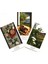 Altın Şafak Tarzı 78CARD Herbcrafters Tarot Kartları Oracle Eğlence Satranç ve Kart Oyunu Tarot ve Tarot Seçiminin Çeşitli Stilleri (Yurt Dışından) 5