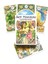 Oracle Stili Yazım 36CARD Art Nouveau Lenormand Oracles Kartları Tarot Oyunu ve Aralarından Seçim Yapabileceğiniz Çeşitli Tarot Kartları (Yurt Dışından) 2