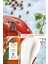 Nemlendirici Vücut Losyonu - Canlandırıcı Mango Kişniş - 390ml 3