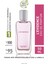 L'Evidence - EDP - 50 ml 1