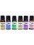Zen Assorted Fragrance Oil 24'lü Set 4