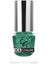 Ice Color Nail Lacquer Glitter NO:226 - Oje 1