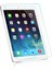 Apple iPad Mini 4 / Mini 5 Uyumlu Ekran Koruyucu Temperli Kırılmaz Cam 2