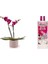 Tropikal Orkide Besin Bitkisi 6 Adet - 1000 ml 3