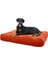 Ultra Soft Large Büyük Irk Köpek Yatağı Elyaf Dolgulu Yıkanabilir Kumaş 1