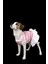 Pembe Çizgili Ince Yazlık Ice Krem Elbise Kedi Köpek Kıyafeti 4