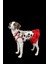 Mickey Desenli Ince Yazlık Ruffle Elbise Kedi Köpek Kıyafeti 4
