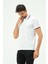 Tomi Pamuk Regular Comfort Erkek Polo Yaka T-Shırt 4