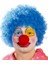 Mavi Renk Kıvırcık Afro Palyaço Seti 1