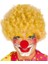 Sarı Renk Kıvırcık Afro Palyaço Seti 1