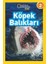 National Geographic Kids - Köpek Balıkları 1