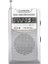 VS-R106 Analog Radyo Gri Renk 1