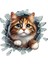 Fulcar Stray Araç Stickerı 1