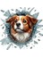 Fulcar Australian Shepherd Araç Stickerı 1