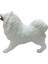 Köpekler - Samoyed Cinsi Köpek 2