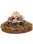1:12 Bebek Evi Minyatür Isıtmalı Su Modeli Mini Açık Hava Villa Bahçe Sahnesi Aksesuarı Vahşi Soba (Yurt Dışından) 3