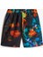 Primary Print Elastic Board.- 2