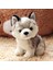 18CM Husky Peluş Oyuncaklar Simülasyon Evcil Hayvan Köpek Doldurulmuş Peluş Oyuncak Çok Amaçlı Sevimli Yavru Köpek Doldurulmuş Bebek Doğum Günü Hediyesi Noel Yeni Yıl Için (Yurt Dışından) 1