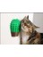 Kaktüs Kedi Kaşıma Aparatı – Catnip Hazneli, Duvara Takılabilir 1