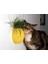 Ananas Şekilli Kedi Kaşıma Aparatı (Kedi Çimi Eklenebilir – Duvara Montaj – Dekoratif Tasarım) 1