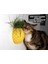 Ananas Şekilli Kedi Kaşıma Aparatı (Kedi Çimi Eklenebilir – Duvara Montaj – Dekoratif Tasarım) 2