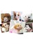 Köpek Koruma Ağızlığı 7'li Set 2
