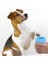 Silikon Jel Fırçalı Kedi Köpek Pati Ayak Temizleme Kovası Büyük 4