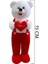 75 cm Çiçekli Tulumlu Ayakta Duran Peluş Ayıcık 1