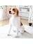 Sevimli Oturan Köpek Peluş Yumuşak Doldurulmuş Hayvan Tüylü Oyuncak Çocuklar Eşlik Eden Oyuncak Atma Yastığı Kanepe Kanepe Yatak Odası Dekoru Için Dekoratif Yastık (Yurt Dışından) 5