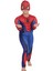 Spiderman Kaslı Çocuk Kostümü 2