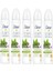 Kadın Matcha Yeşil Çay ve Sakura Çiçeği Sprey Deodorant 150 ml x 5 Adet 1
