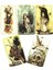 Okyanus Tarot Stili 78CARD Hush Tarot Deck Kader Kehanet Tahta Oyunu Tarot ve Çeşitli Tarot Seçenekleri Için Oracle Kartı (Yurt Dışından) 5