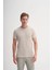 Bisiklet Yaka Slim Fit Jakarlı Çizgi Desenli Tişört 1