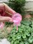 Lolipop Figürlü Pembe Sulu Simli Çanta Süsü ve Anahtarlık 2