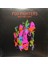 Foo Fighters Wasting Light Double Lp Plak 1