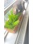 Premium 6'li Kedi Çimi Tohumu -100 gr (Buğday - Çavdar - Arpa - Yulaf - Yonca - Iza Buğdayı) 5