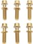 6 Adet Bisiklet Kök Cıvata Titanyum Alaşımlı M5X20MM Bisiklet Gidon Kök Cıvata Vidaları Yıkayıcı ile Dağ Bisikletleri Için Yol Bisikletleri Altın (Yurt Dışından) 1