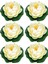 Akvaryum Için 6 Adet Küçük Lotus Çiçeği Mini Plastik Çiçekler Çok Renkli Simülasyon (Yurt Dışından) 1