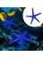 Akvaryum Balık Tankı Güvenli Plastik Aydınlık Simülasyon Denizyıldızı Peyzaj Decorationblue (Yurt Dışından) 5
