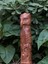 Şahin Totem – 30 cm El Oyma Ahşap Heykel Vernikli 3