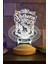 3D Harry Potter Hediyesi Hogwarts Slytherin Binası LED Lamba 1