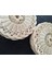 2 Adet %100 Doğal El Yapımı Rattan Supla & Duvar Süsü (1. Sınıf, Dekoratif, Yüksek Kalite) 3