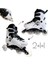 Beyaz Işıklı Teker Ayarlanabilir Çocuk Alıştırma Paten 2 Fonksiyon Kask Koruyucu Set 1