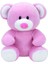 Fırsat Byr Princess Pink Bear Reg Peluş 15 cm Yeni 1