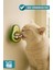 Organik Kedi Çimi Kedi Nanesi Otu Kedi Oyun Topu Avokado Kedi Otu Çimi Catnip Yavru Kedi Oyuncakları 4