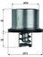 Termostat 79°c Bmw E60 61 63 64 90 92 93 07-14 1
